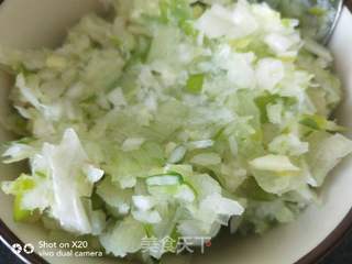 酸菜肉双色生煎饺的做法步骤:2