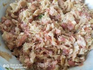酸菜肉双色生煎饺的做法步骤:5