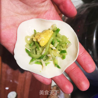 西葫芦鸡蛋水饺——肚子鼓鼓的大肚水饺看着都喜庆儿的做法步骤:10