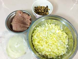 简简单单的白菜瘦肉饺的做法步骤:2