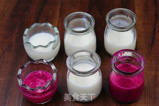 火龙果酸奶果冻的做法步骤:6