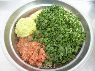 韭菜西葫芦猪肉馅水饺的做法步骤:6