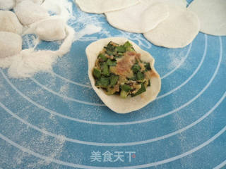 韭菜西葫芦猪肉馅水饺的做法步骤:8