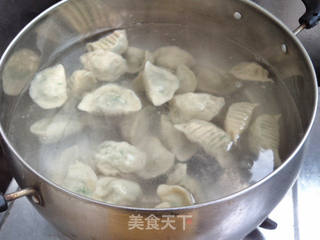 韭菜西葫芦猪肉馅水饺的做法步骤:10