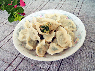 韭菜西葫芦猪肉馅水饺的做法步骤:11