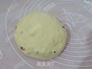 葡萄干小餐包的做法步骤:9