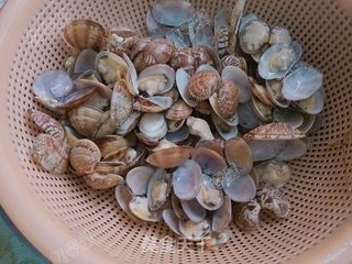 香炒蛤蜊的做法步骤:6