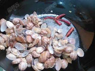 香炒蛤蜊的做法步骤:9