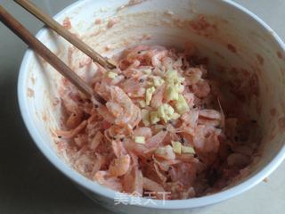 磷虾肉包的做法步骤:6