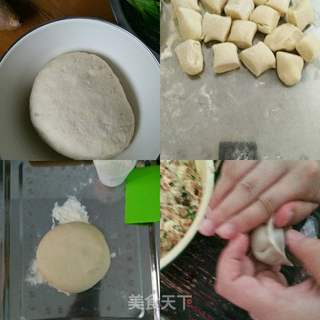 菌菇时蔬水饺的做法步骤:6