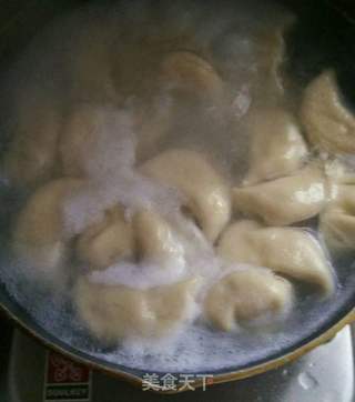 菌菇时蔬水饺的做法步骤:9