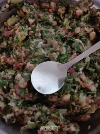 青菜香菇猪肉水饺的做法步骤:4