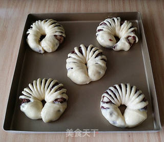 豆沙花面包的做法步骤:15