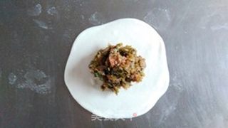 雪菜肉包的做法步骤:9