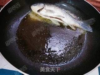 番茄滚鲫鱼汤的做法步骤:4