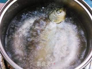 番茄滚鲫鱼汤的做法步骤:7