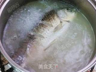 番茄滚鲫鱼汤的做法步骤:8