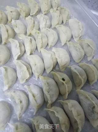 韭菜鲜肉饺子的做法步骤:11