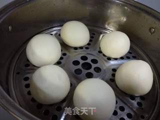 纯手工白馒头的做法步骤:15