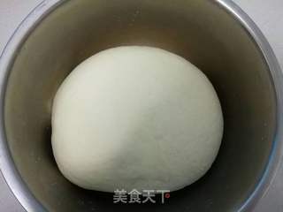 纯手工白馒头的做法步骤:5