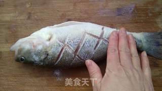 葱烧鲈鱼的做法步骤:4