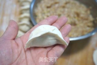 猪肉白菜杏鲍菇饺子的做法步骤：10