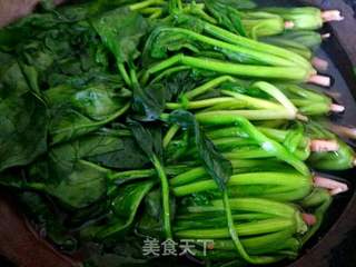 菠菜拌粉丝的做法步骤:5