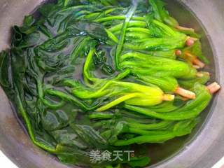 菠菜拌粉丝的做法步骤:6