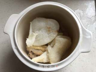 干贝鱼胶炖鸡汤的做法步骤:5