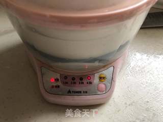 干贝鱼胶炖鸡汤的做法步骤:8