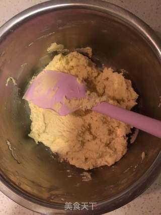 原味巧克力双拼曲奇饼干的做法步骤:10