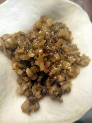 大头菜肉包的做法步骤:4