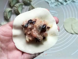 白萝卜饺子的做法步骤：11