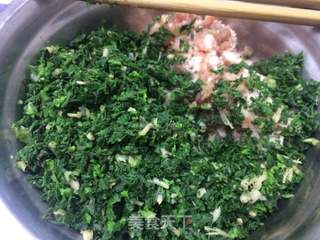 荠菜猪肉水饺的做法步骤:4