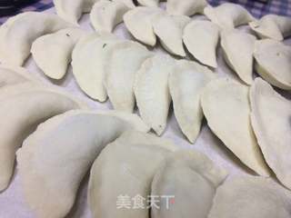 荠菜猪肉水饺的做法步骤:7