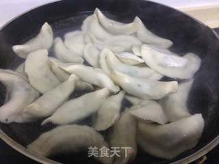 荠菜猪肉水饺的做法步骤:8