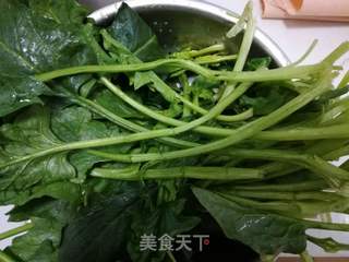 肉丝拌菠菜的做法步骤:5