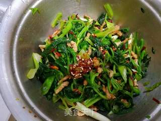 肉丝拌菠菜的做法步骤:15
