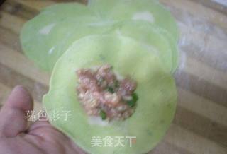菜汁饺子的做法步骤:6