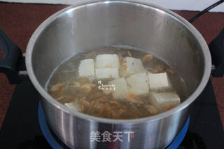 鲜香磷虾豆腐汤的做法步骤:5