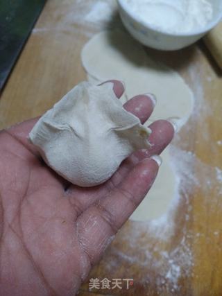 鲜肉拉瓜馅饺子的做法步骤:10