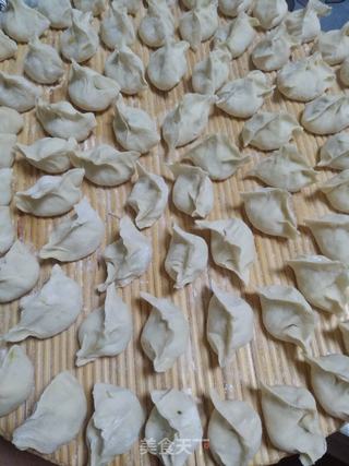 鲜肉拉瓜馅饺子的做法步骤:11