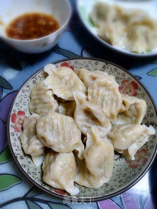 鲜肉拉瓜馅饺子的做法步骤:12