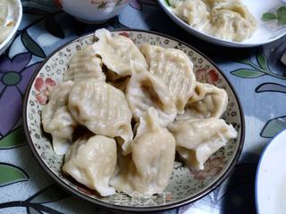 鲜肉拉瓜馅饺子的做法步骤:14