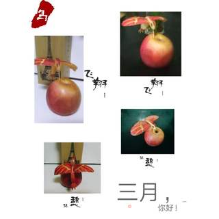苹果小鸟的做法步骤:17
