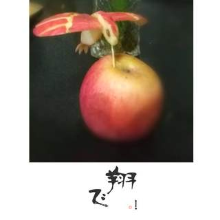 苹果小鸟的做法步骤:16