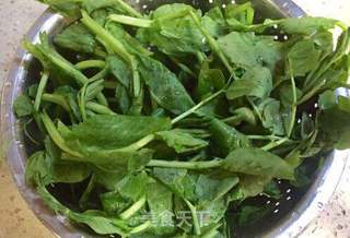 红绿相间番茄丸子豆尖汤的做法步骤:8