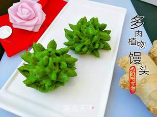 花样馒头多肉植物馒头的做法步骤：5