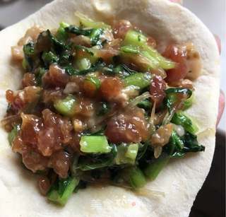 苔菜粉条猪肉包的做法步骤:18