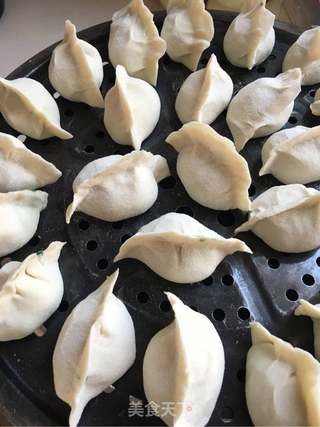 韭菜鲜虾饺子的做法步骤:10